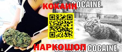 твердый Будённовск