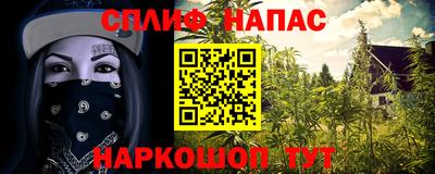 твердый Будённовск