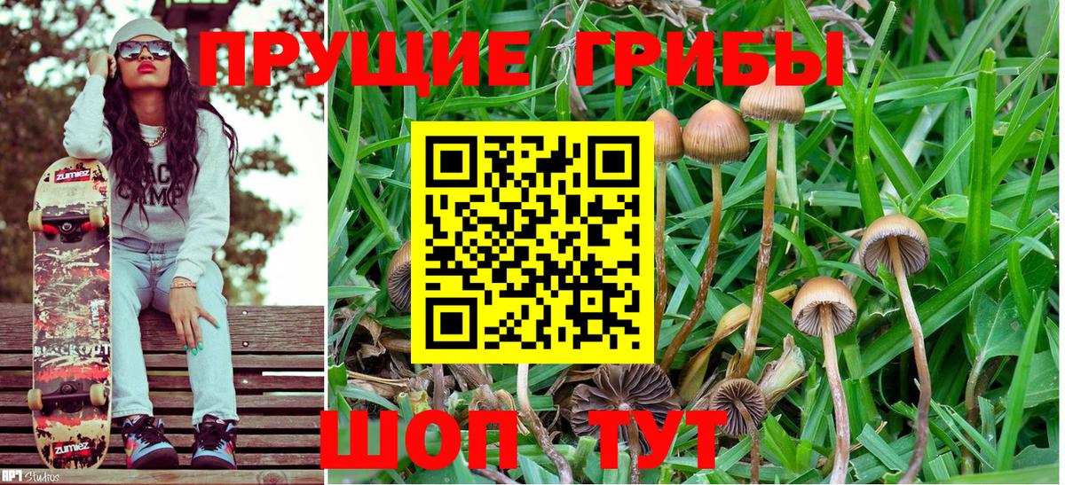 Псилоцибиновые грибы мицелий  Вход с VPN  Энгельс 